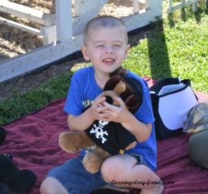 Stuffed Animal Picnic Day