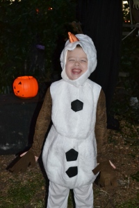 Last years Olaf costume
