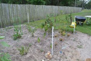 Right side of the garden