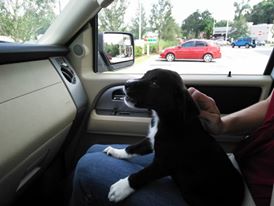 14354980_10154597219147754_5661457268077004969_n